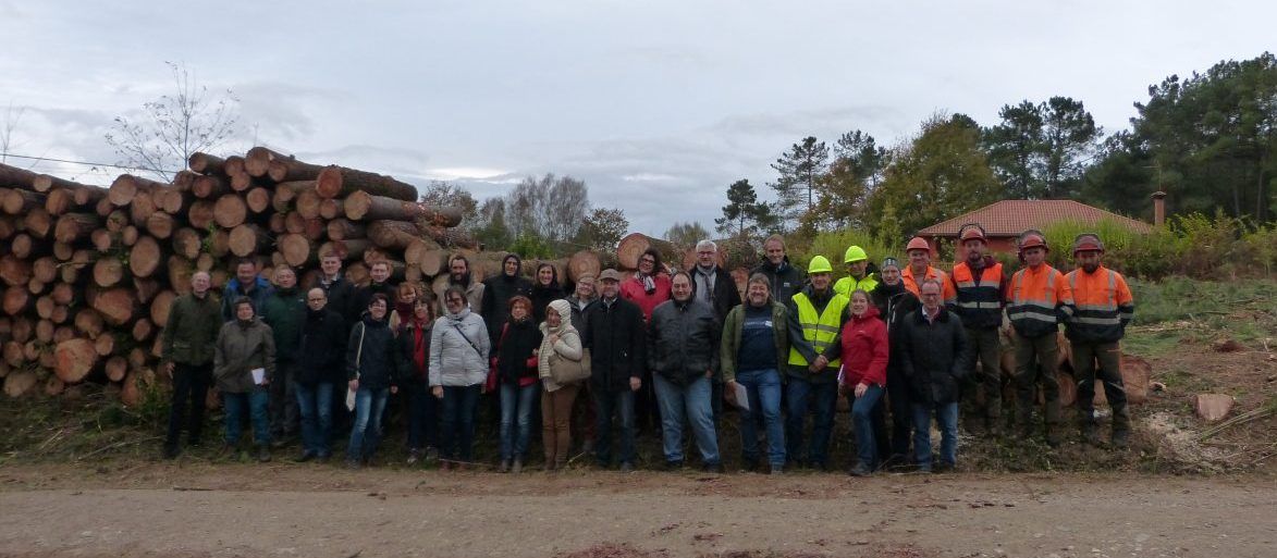El desarrollo de la bioeconomía forestal en Galicia