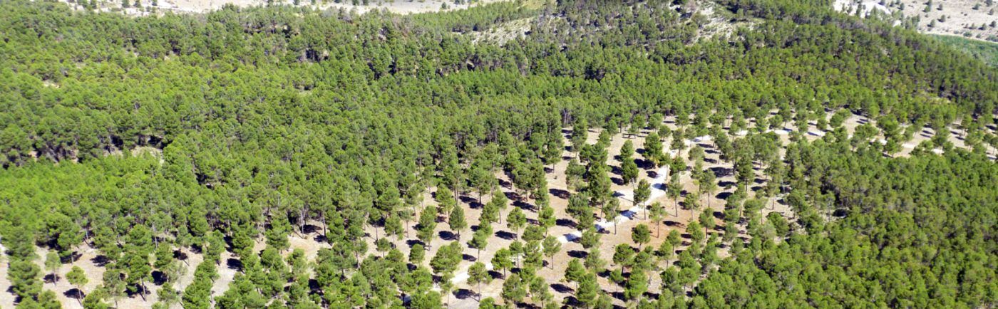 HUF España se adhiere al LIFE FOREST CO2