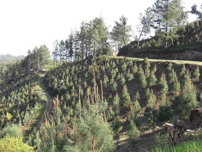 PROMINIFUN celebra hoy una jornada sobre gestión en el medio rural