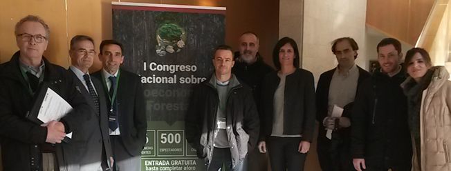 La bioeconomía forestal en Cantabria podría crear 2.000 puestos de trabajo