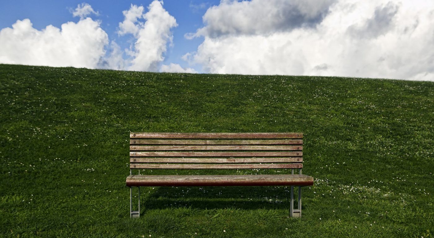 La cadena de valor de la madera en Galicia reacciona frente a la ola catastrófica de fuegos