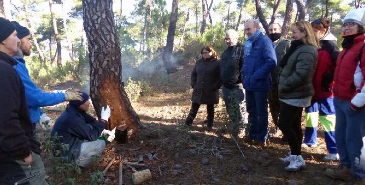 La profesionalización del sector de la resina en los montes de Guadalajara