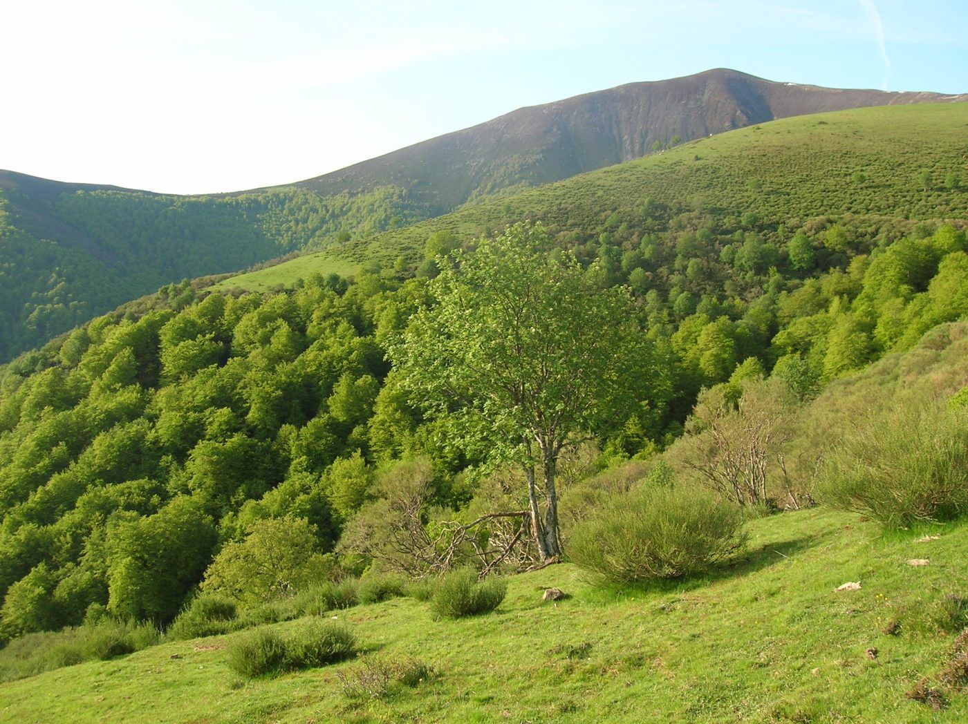 “La protección de la naturaleza es un bien público y no debe llevarse a cabo a expensas de los propietarios de los terrenos”