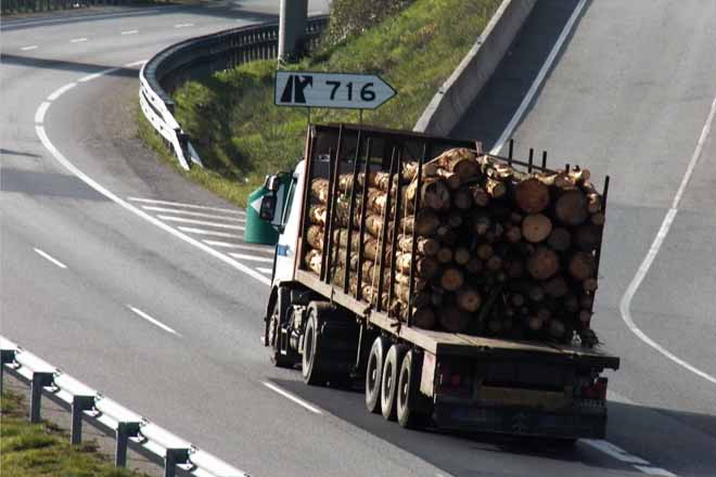 UNEmadera solicita transporte especial para la madera en rollo