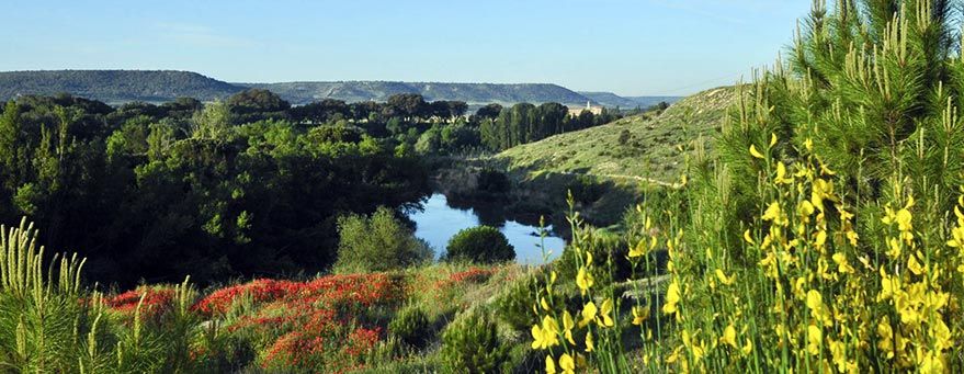 PEFC lanza el proyecto INNOVA en Verde