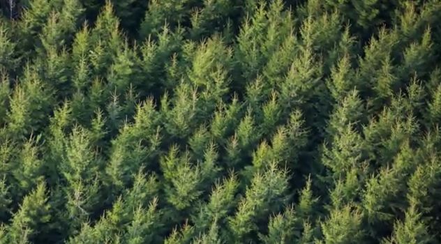 CEPF pide a la Comisión Europea una política de desarrollo rural fuerte en la futura PAC