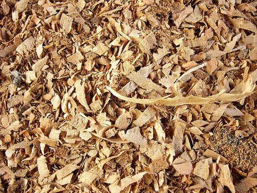 La biomasa de calefacción generó en Galicia 77 millones