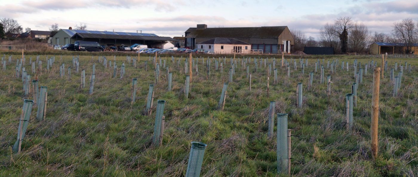 Los socios del proyecto ERASMUS+ FUTUREfacing, al que pertecenece ILVA, realizan una acción formativa en Oxford