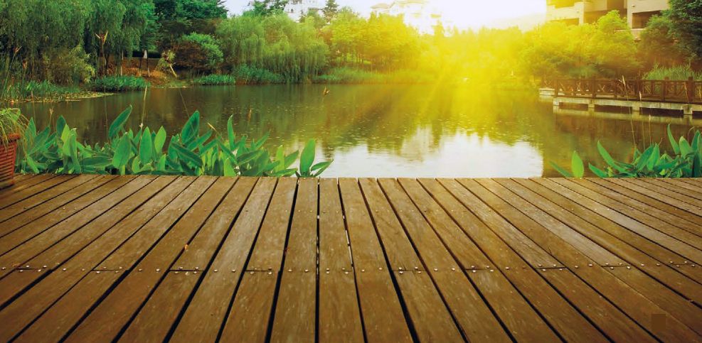 VICAB presenta Borma Wachs en España