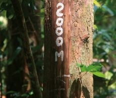 JOUBERT Plywood comparte con el gobierno de Francia su experiencia y know-how sobre EUTR