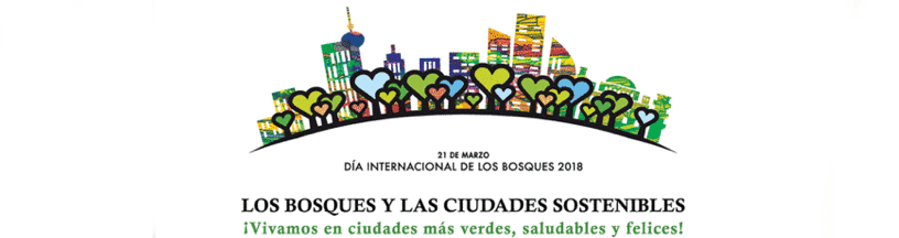 Hoy es el Día Internacional de los Bosques