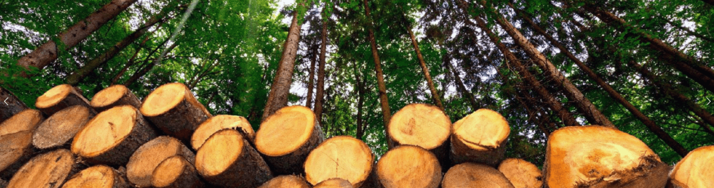 Grupo NOVA ENERGIA cesa su actividad