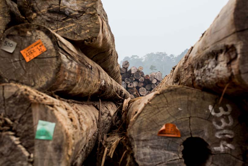 Simposio para la industria de la madera sobre los últimos avances de los AVA y las licencias FLEGT