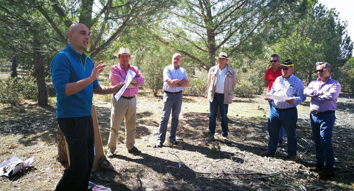 ASFOVA orienta al selvicultor sobre la gestión de sus pinares