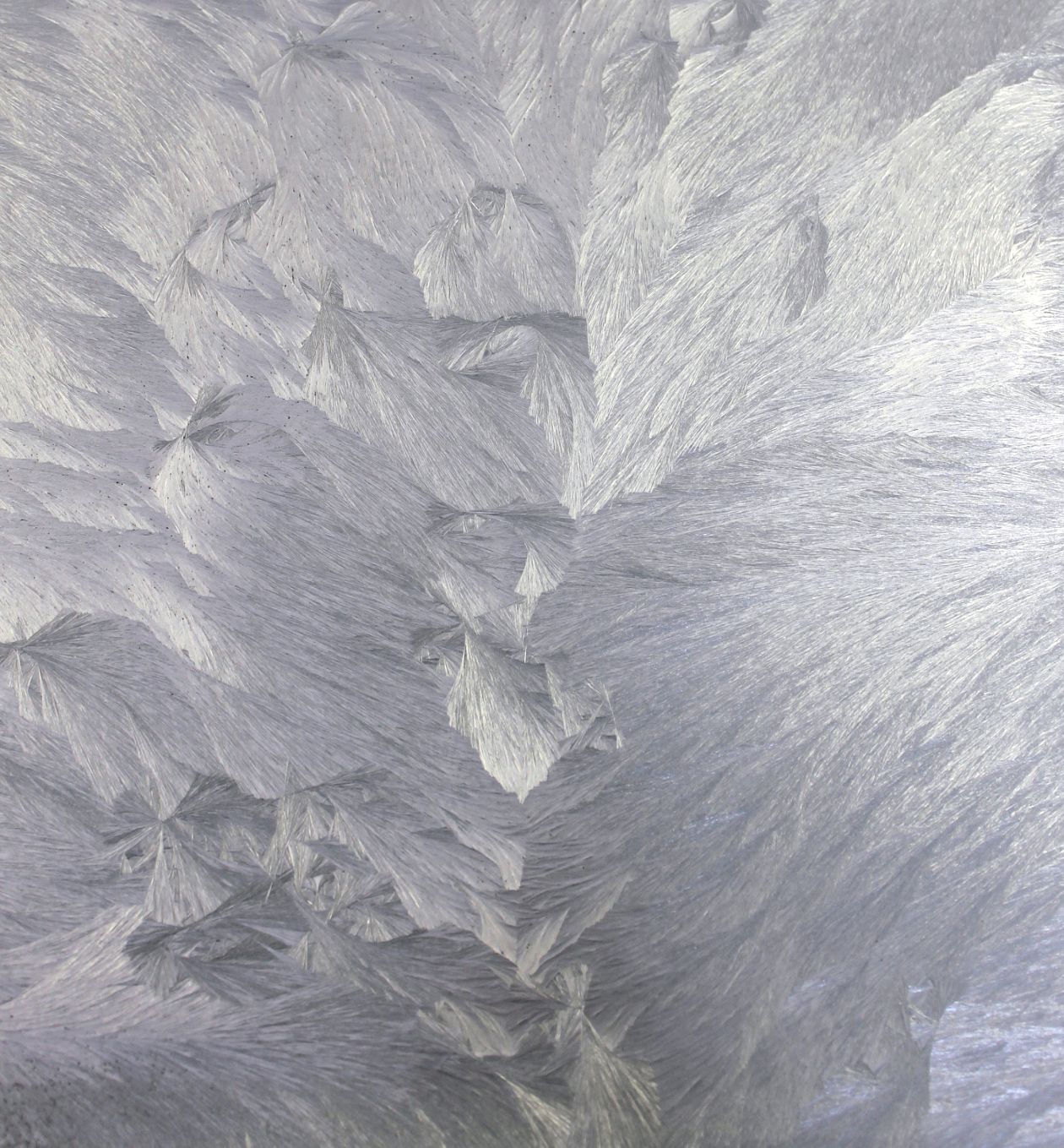 DCM Coatings presenta el “Efecto Hielo Cromado”