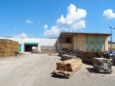 “El sector forestal está cogiendo una velocidad de crucero”