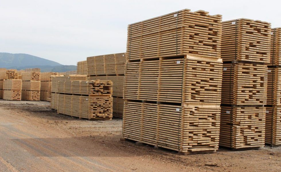 Las importaciones de madera y derivados crecieron un 4% en valor en el año 2019