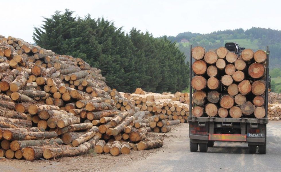 Calidad y Certificación en el Comercio y la Industria de la Madera. Guía básica