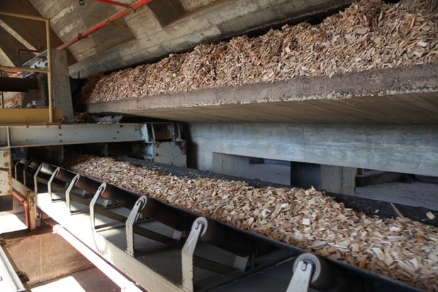 El 98% de la madera que consume la industria papelera española es de procedencia local