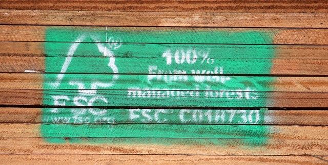 FSC y MSC se unen con EL CORTE INGLÉS para celebrar el Día Mundial del Medio Ambiente