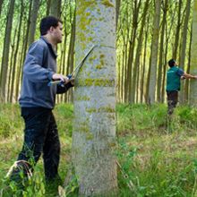 GARNICA realiza un programa de prácticas para estudiantes del sector forestal