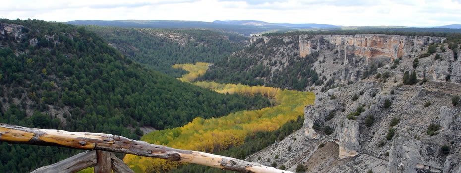 CESEFOR impartirá un curso de tecnología LiDAR para aplicarla a la gestión y planificación forestal