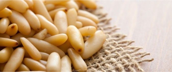 Educar al consumidor en la demanda de piñón ibérico