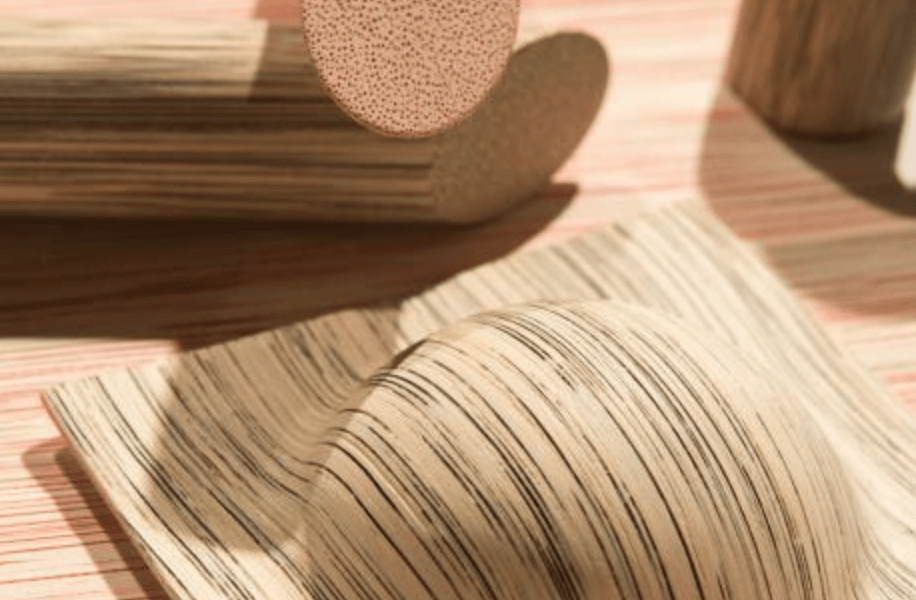 Una exposición pone de relieve el potencial de la madera como material del futuro