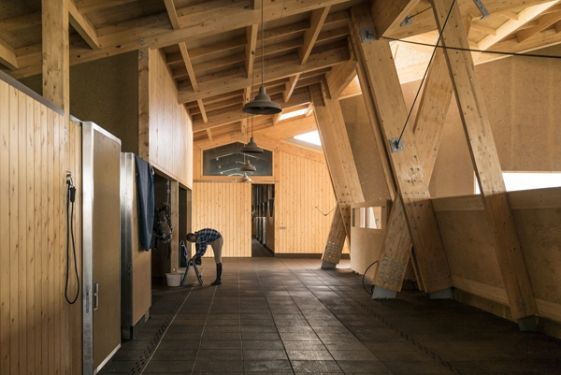 Carlos Castanheira será ponente en EGURTEK