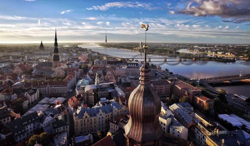 AEIM participa esta semana en la 66ª Conferencia Internacional de Coníferas