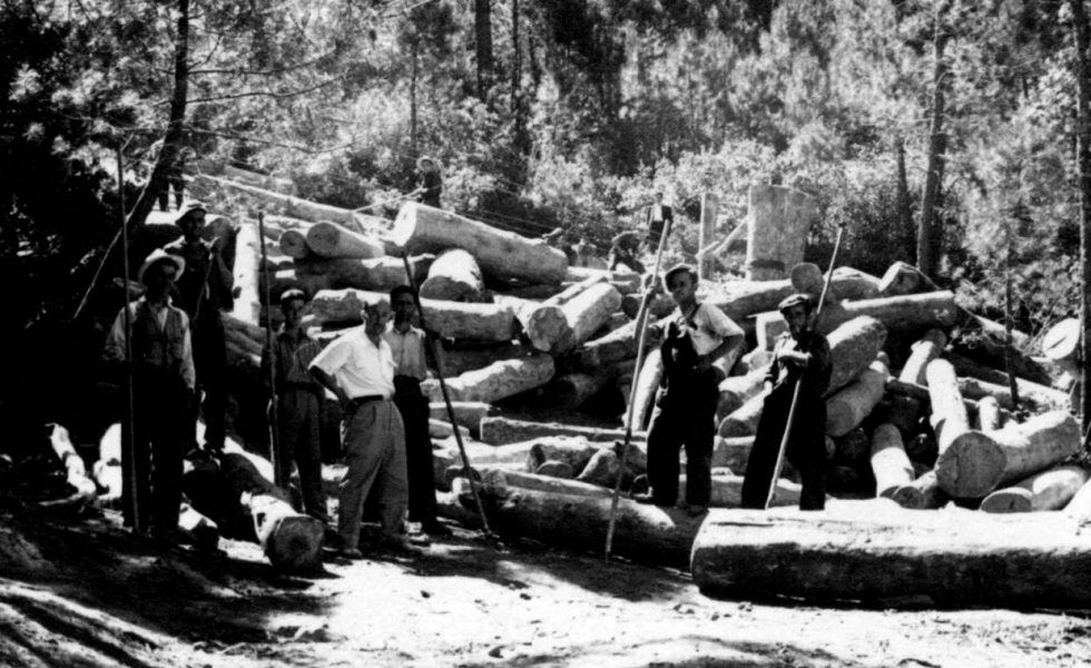 Los forestales dieron su diploma de honor a RENFE y al Centro Forestal de Islas Baleares