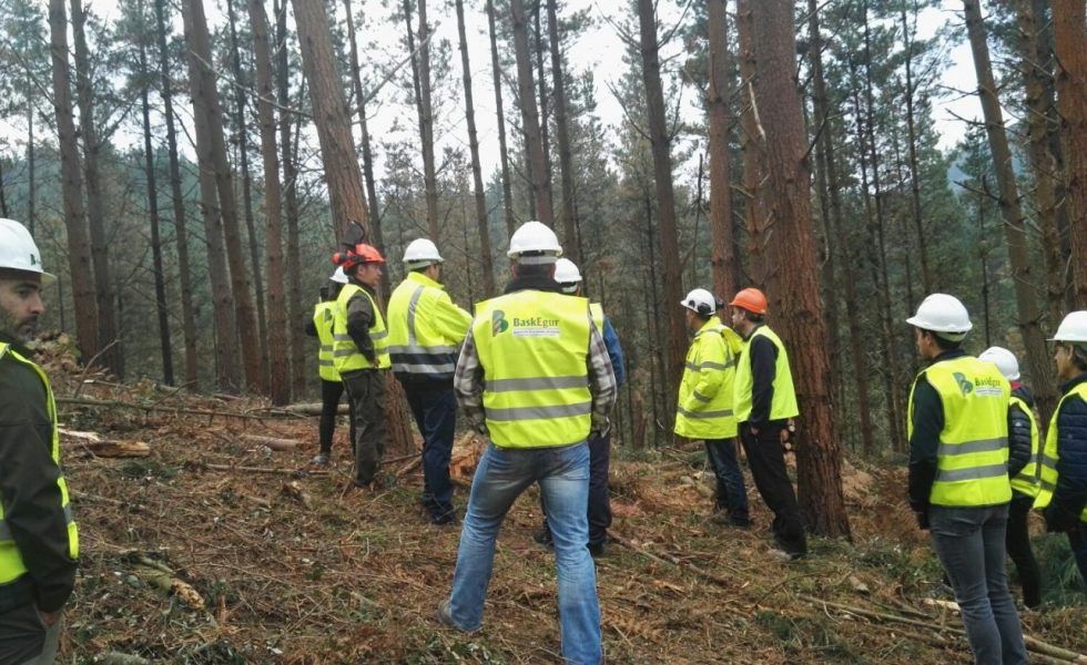 El compromiso con la gestión sostenible y la puesta en valor de la construcción en madera, ejes de la V SEMANA DE LA MADERA EN EUSKADI