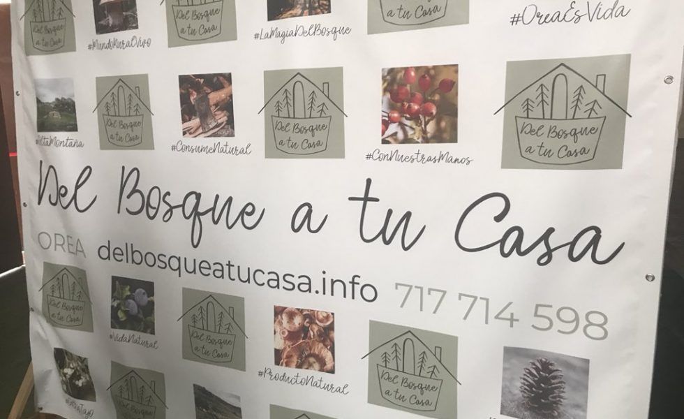 Nace la marca “Del Bosque a tu Casa”