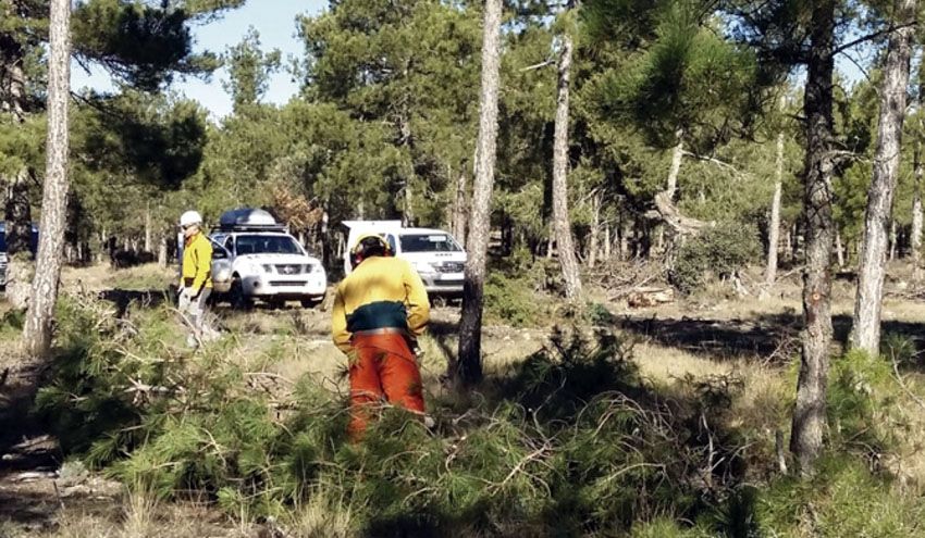 VEOLIA Biomasa colabora en la prevención de incendios forestales en Castilla-La Mancha