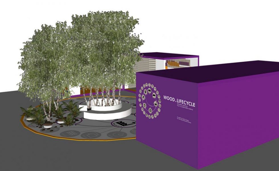 WOOD LIFECYCLE: El viaje de la madera desde el árbol hasta el producto reciclado