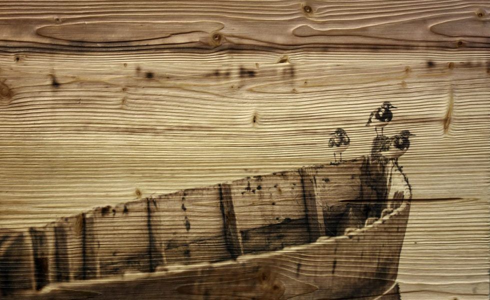 MUSA SOLUTIONS: Paneles acústicos y decorativos a medida