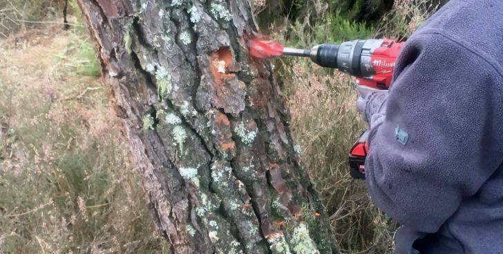 Tardelcuende abre el mundo de la resina a las mujeres con la “pica con taladro”
