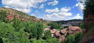 La COMISION DE MUNICIPIOS FORESTALES alza la voz en defensa de la gestión integral del territorio