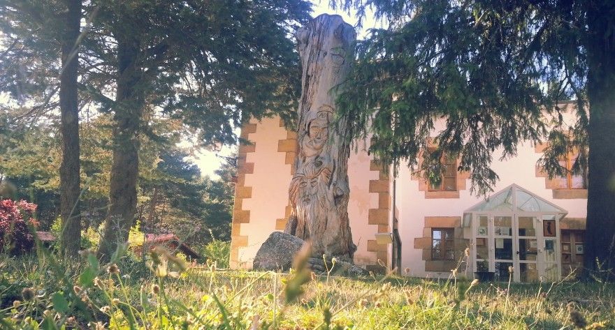 Castilla y León explota turísticamente su patrimonio forestal