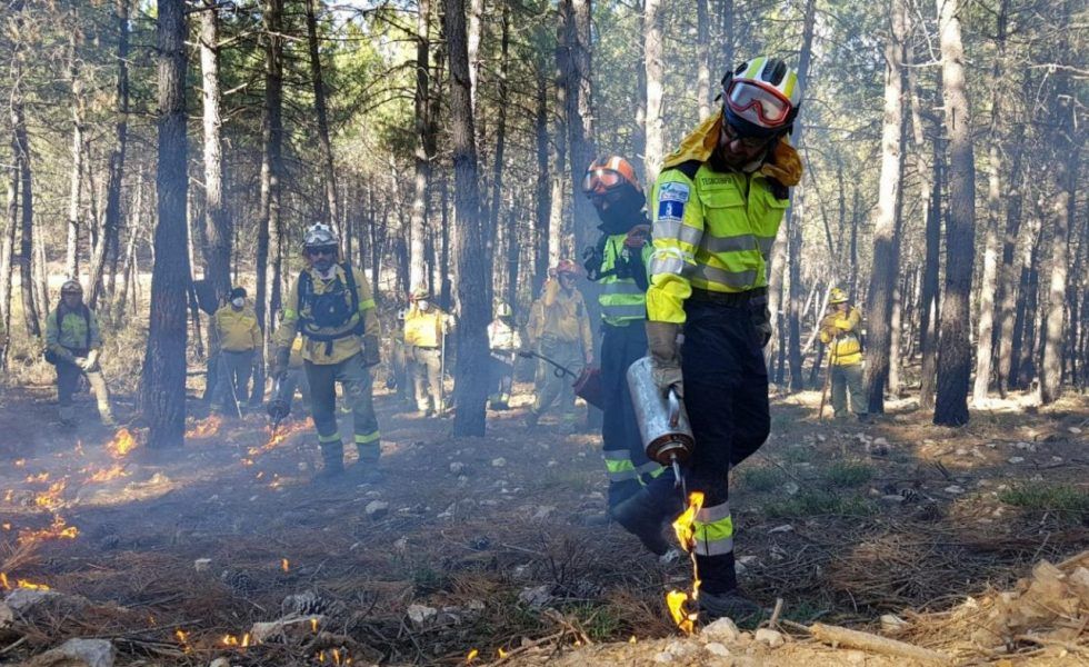 Castilla-La Mancha ofrece nuevas ayudas para tratamientos selvícolas