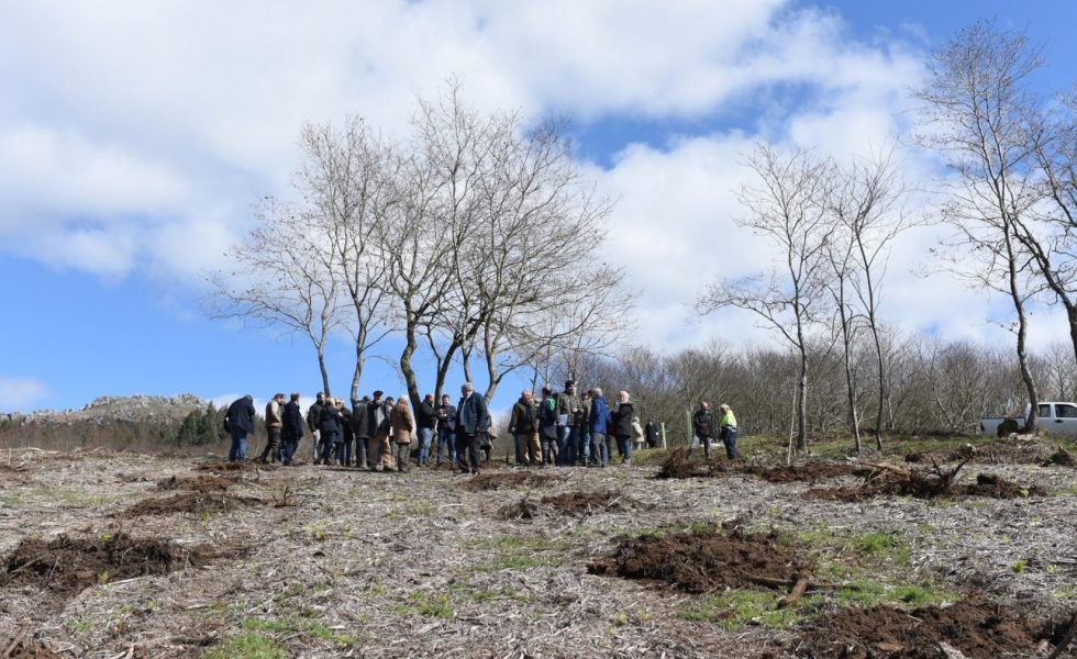 La Asociación Forestal de Galicia organiza un curso sobre gestión forestal para propietarios y gestores forestales