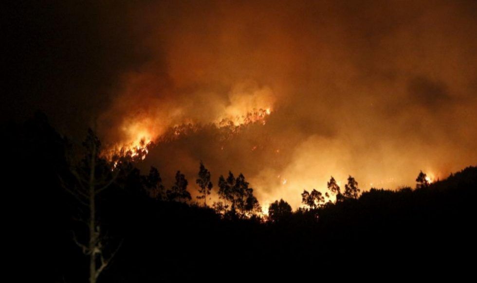 Los incendios forestales: de catástrofe recurrente a oportunidad de inversión sostenible