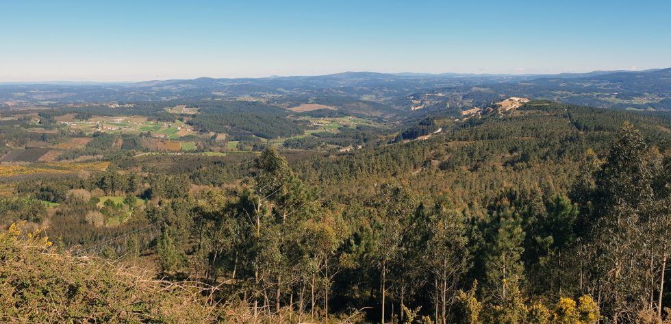 Los bosques son vitales para España