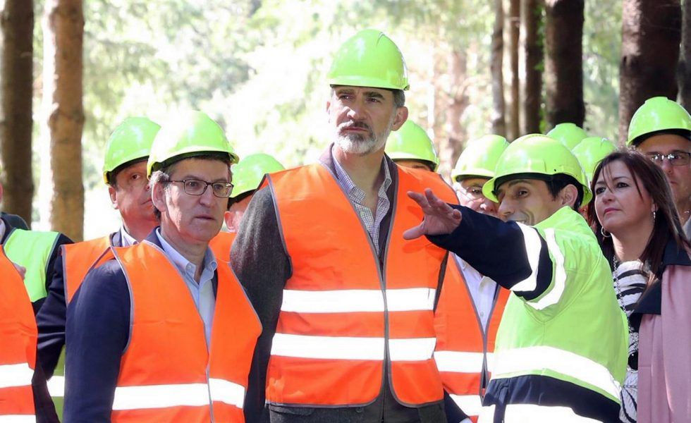 La educación es un medio indispensable para aprender a amar el bosque