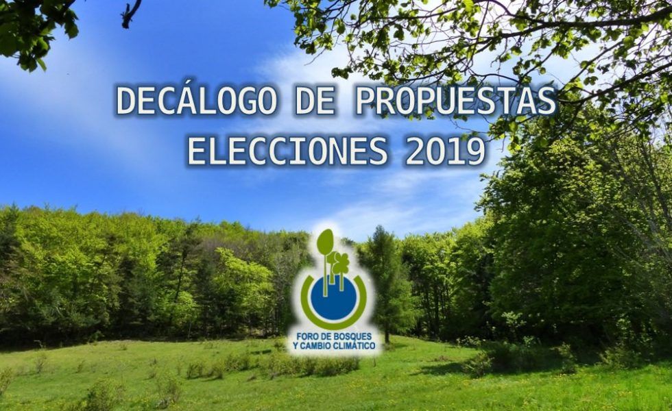 El Foro de Bosques y Cambio Climático presenta un decálogo de propuestas para las elecciones generales