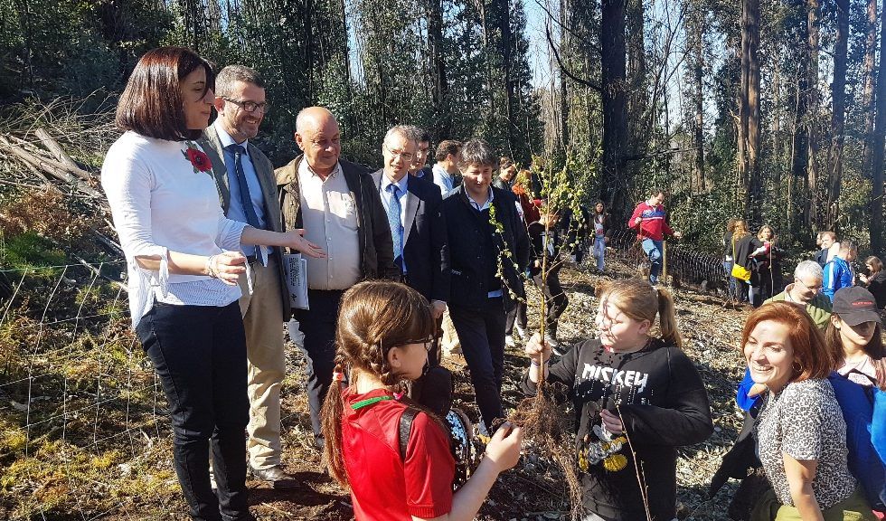 FSC promueve la reforestación de un monte en Galicia