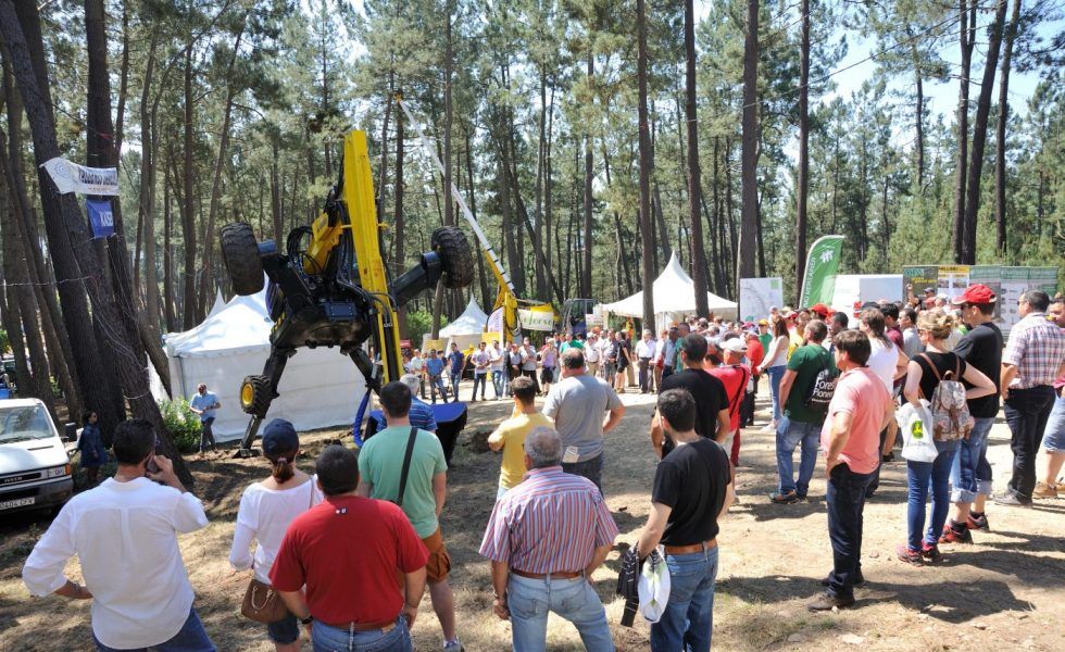 ASTURFORESTA convertirá de nuevo a Tineo en la capital forestal de la Península Ibérica