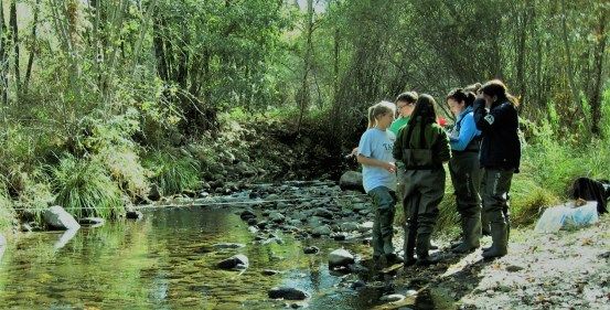 Curso treeNNOVA sobre naturaleza, emprendimiento y sostenibilidad