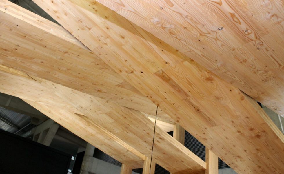 EGOIN fabrica panel contralaminado con alerce, ideal para exterior