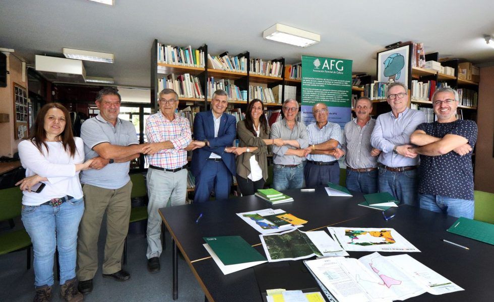 AFG impulsa la restauración de montes afectados por los incendios de 2017